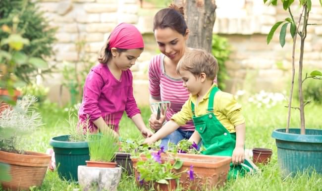 اصول آموزش باغبانی به کودکان