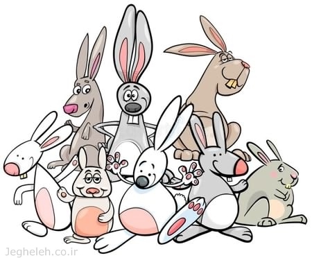 داستان دوستی خرگوش ها