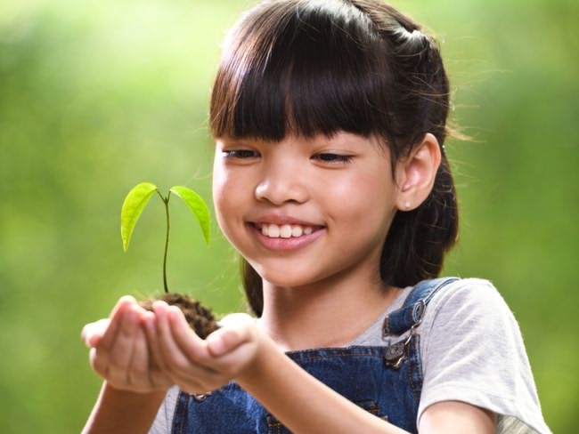 آموزش مراحل کاشت دانه برای کودکان