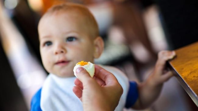 فواید تخم مرغ ؛ غذای مقوی برای کودکان